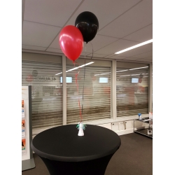 Trosje van 2 Heliumballonnen
