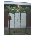 Palmbomen