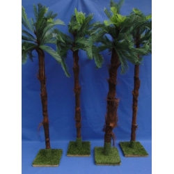 4x Palmboom